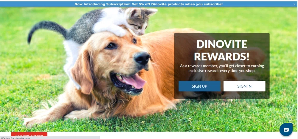 Dinovite petsmart best sale