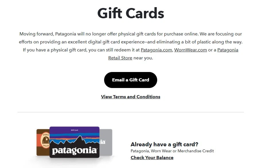 patagonia gift cards 975607405313