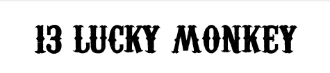 13 LUCKY MONKEY Promo Code