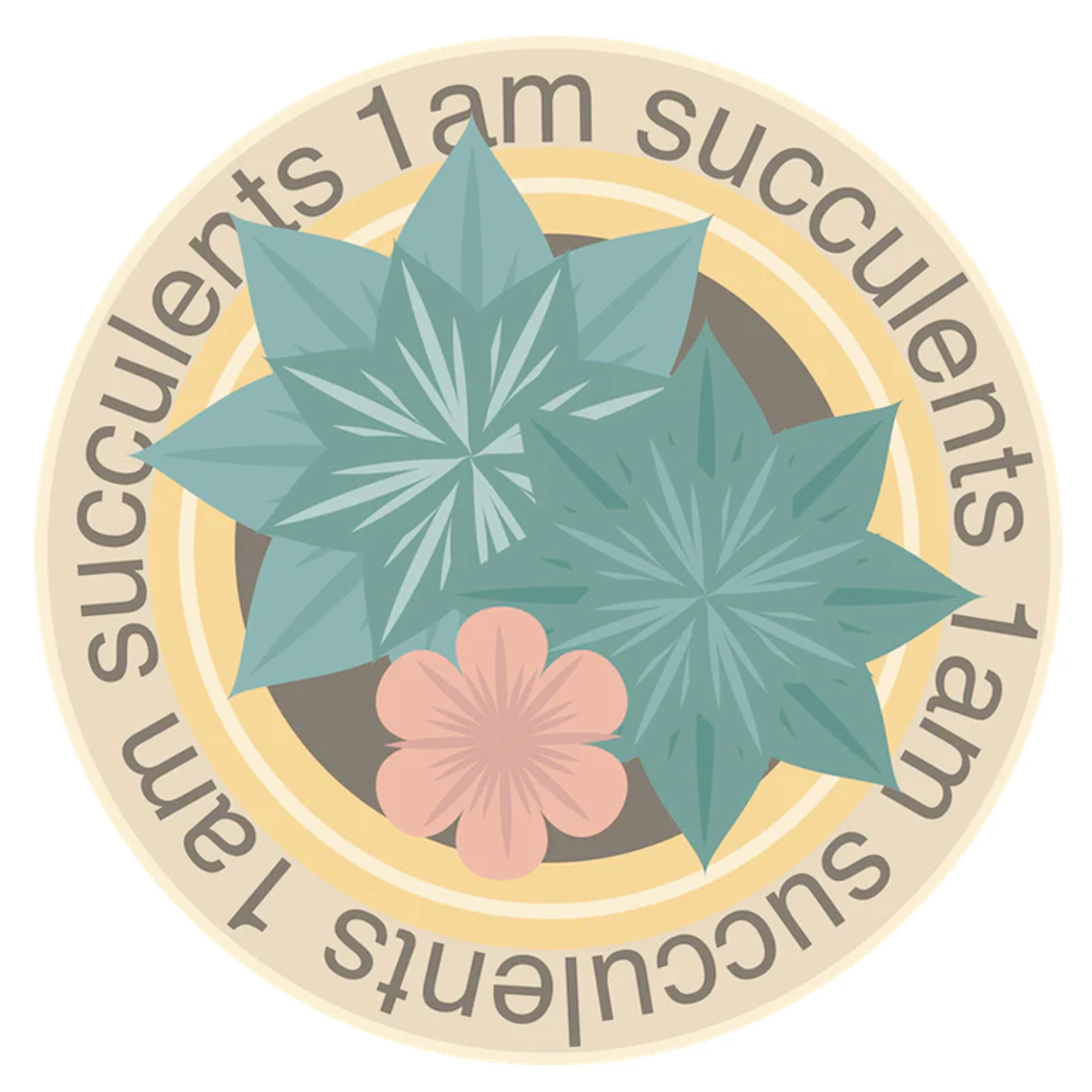 The 5 Best Alternatives to 1am Succulents