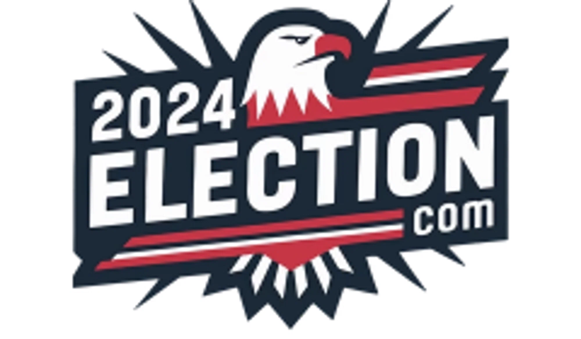 2024 Election Promo Code
