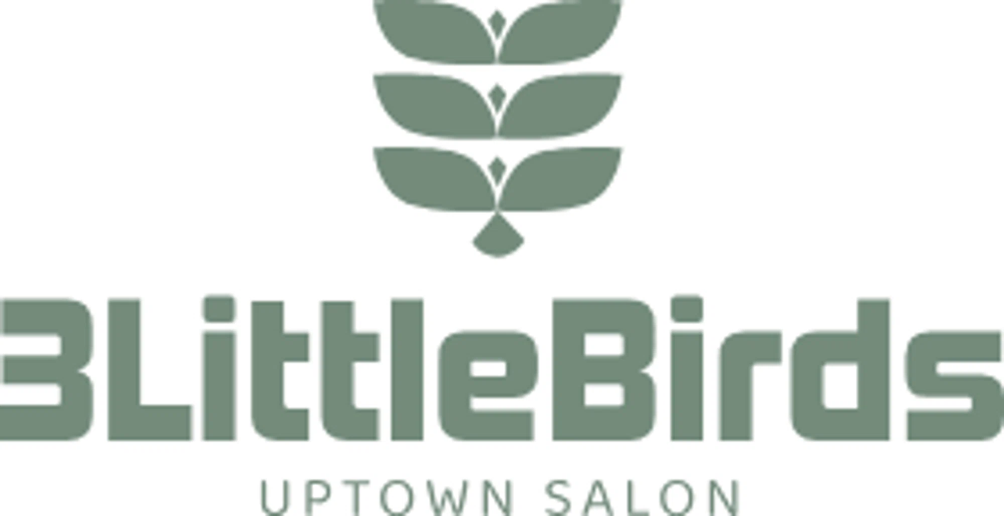 3 Little Birds Salon coupons