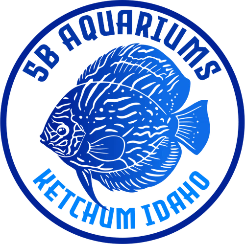 5B Aquarium Supplies Promo Code