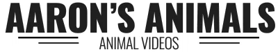 AARONS ANIMALS Promo Code — 180 Off in Feb 2024