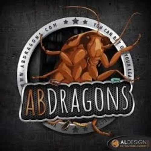 Abdragons Promo Code