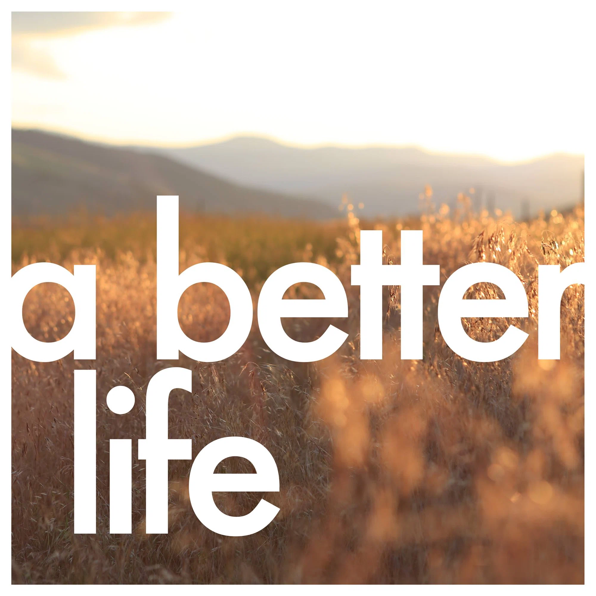 A Better Life Merchant Logo