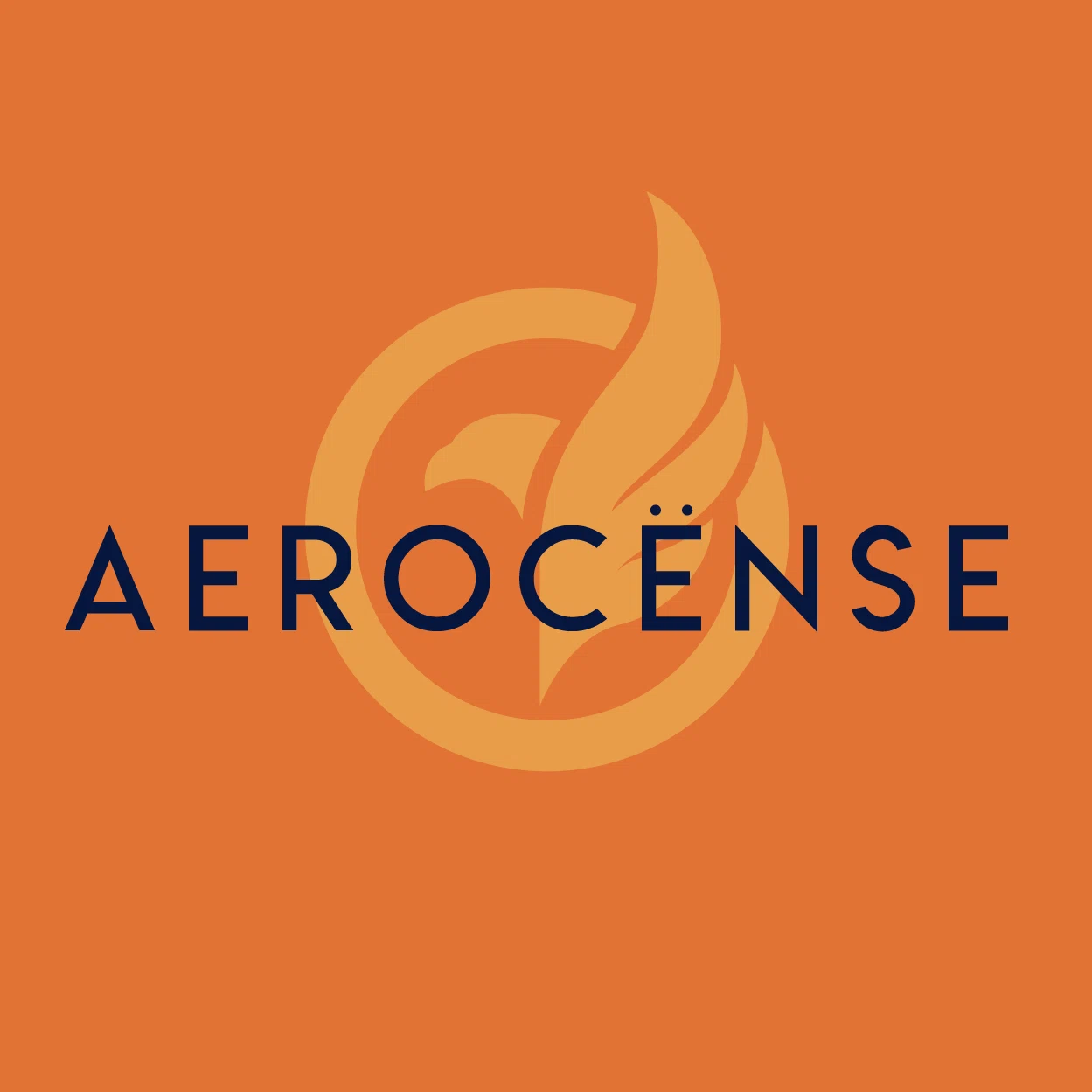 Aerocense Merchant Logo