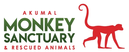 Akumal Monkey Sanctuary Merchant Logo