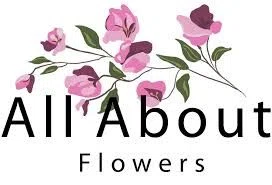 All About Flowers Merchant Logo