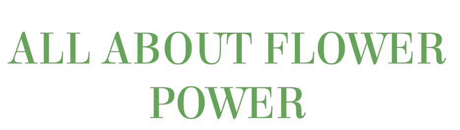 All About Flower Power Merchant Logo