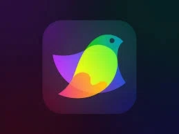 Amadine Promo Code