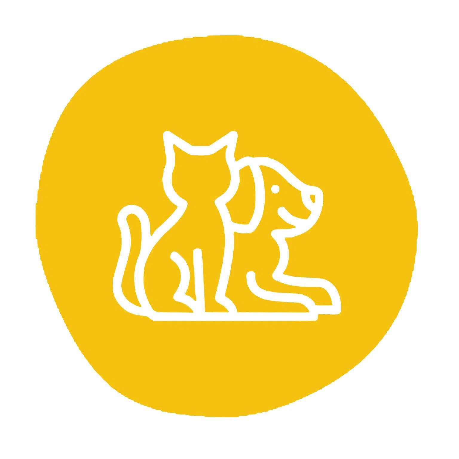 Amivo Promo Code