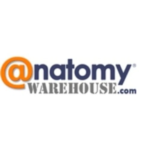 20% Off Anatomy Warehouse Promo Code (1 Active) Jun '24