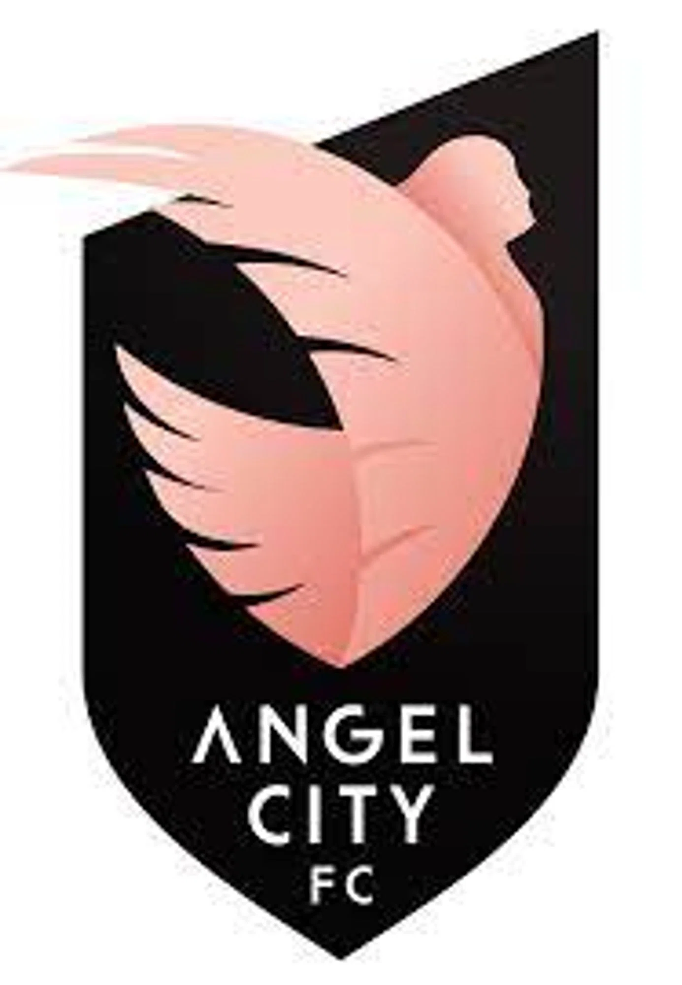Angel City FC Promo Code
