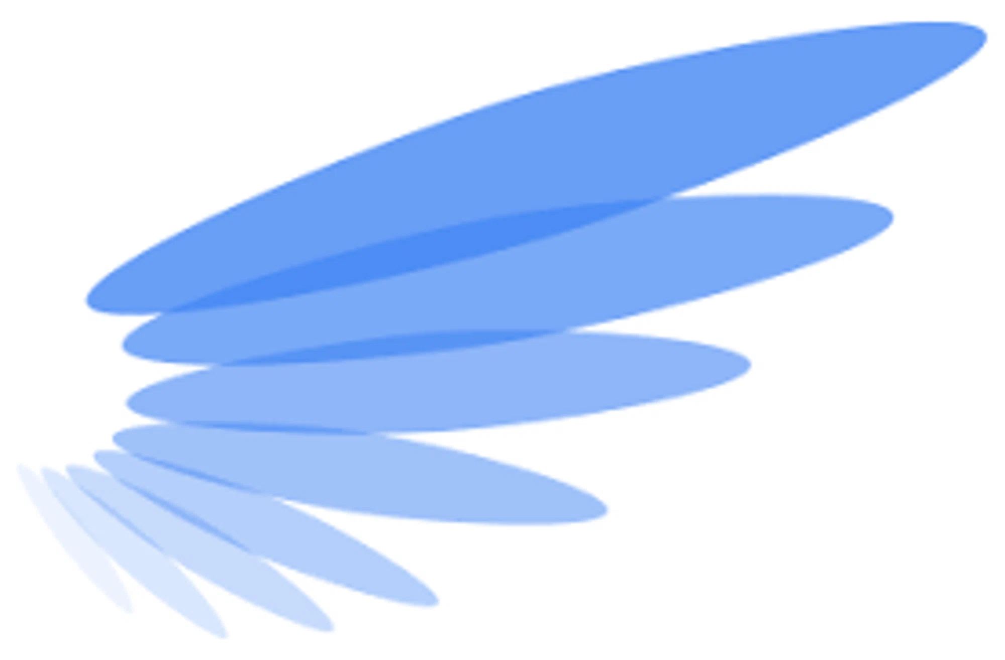 Angel Match coupons