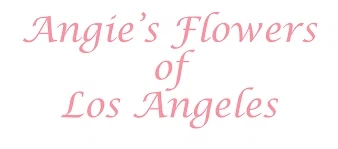 ANGIE'S FLOWERS Promo Code — 100 Off in October 2024