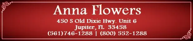 Anna Flowers of Jupiter Merchant Logo
