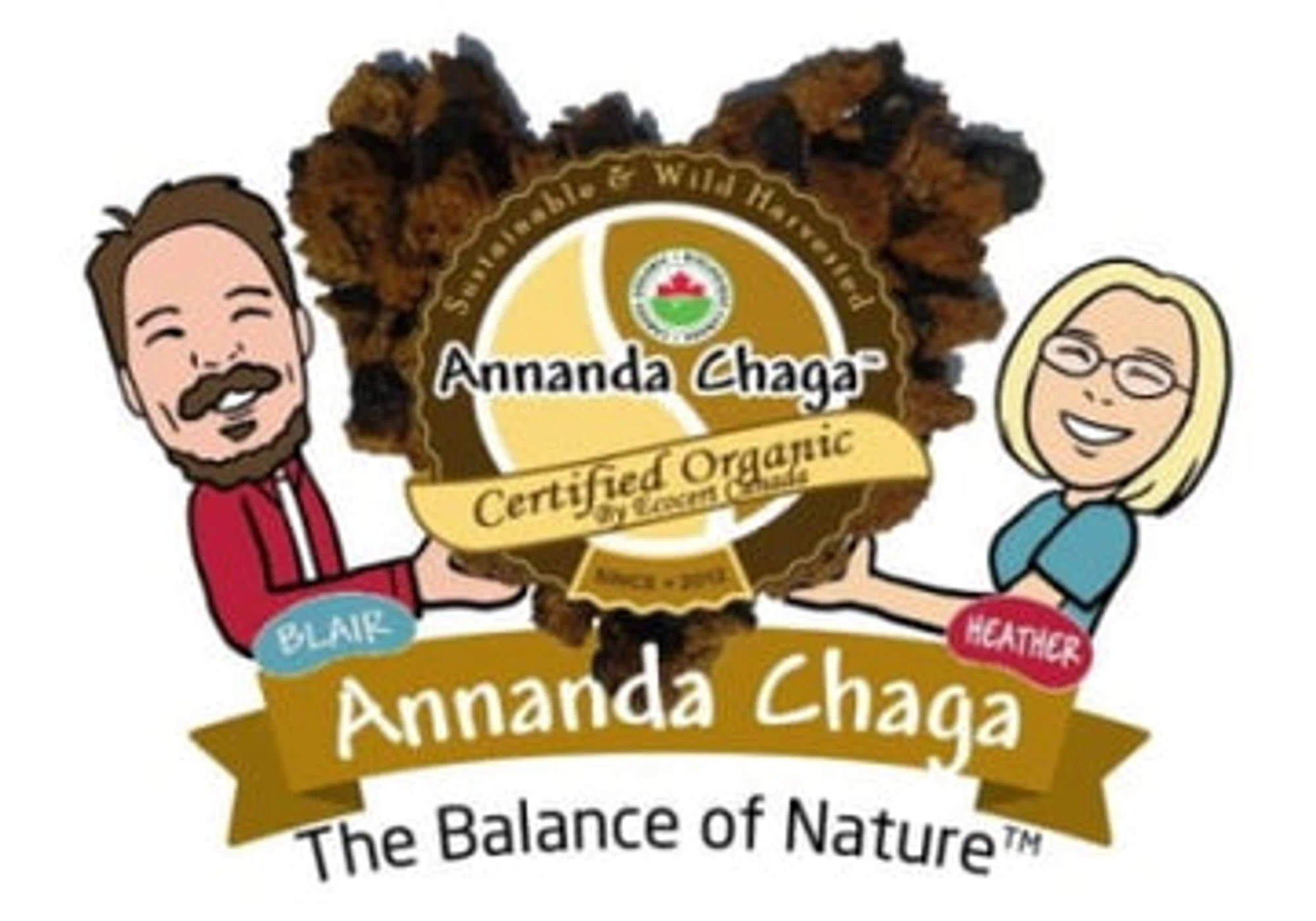 Annanda Chaga Mushrooms Promo Code