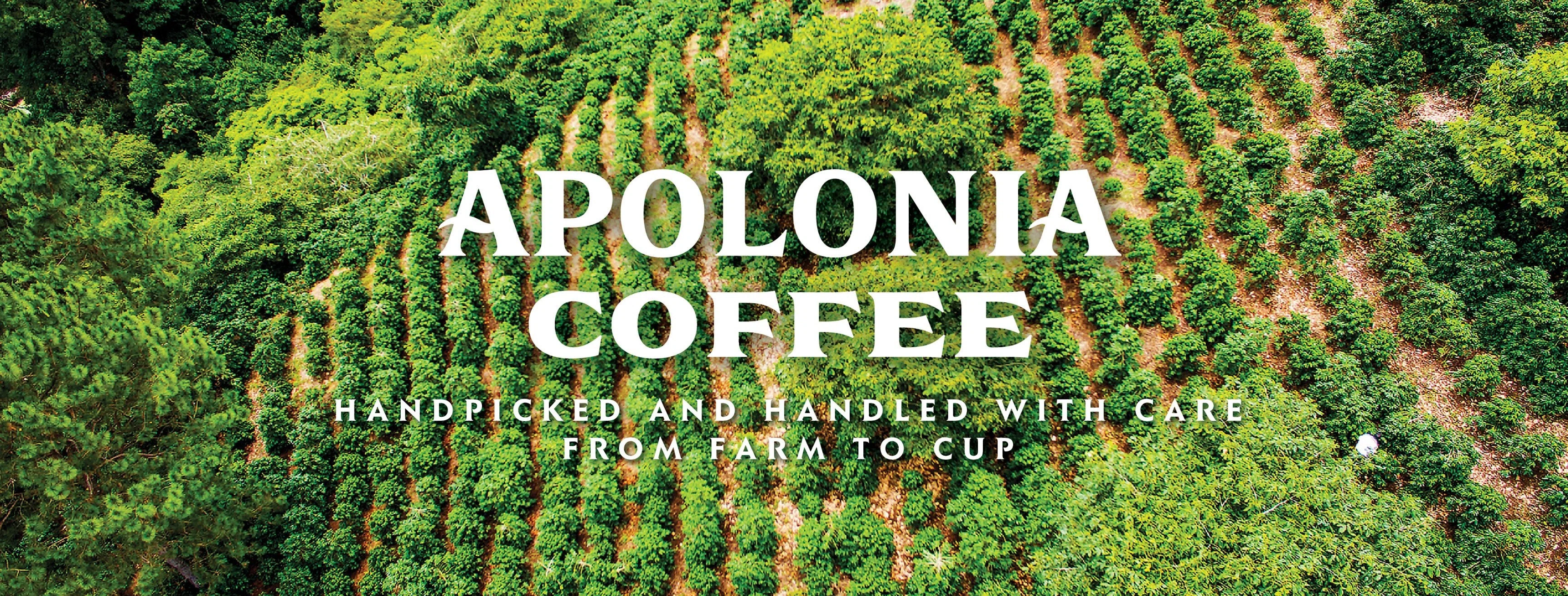 Apolonia Coffee Promo Code