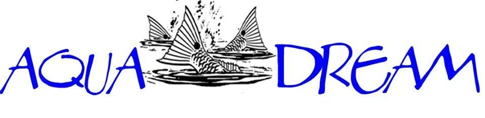 Aqua Dream Living Promo Code
