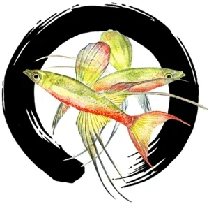 AQUARIUM ZEN Promo Code — Get 50 Off in July 2024