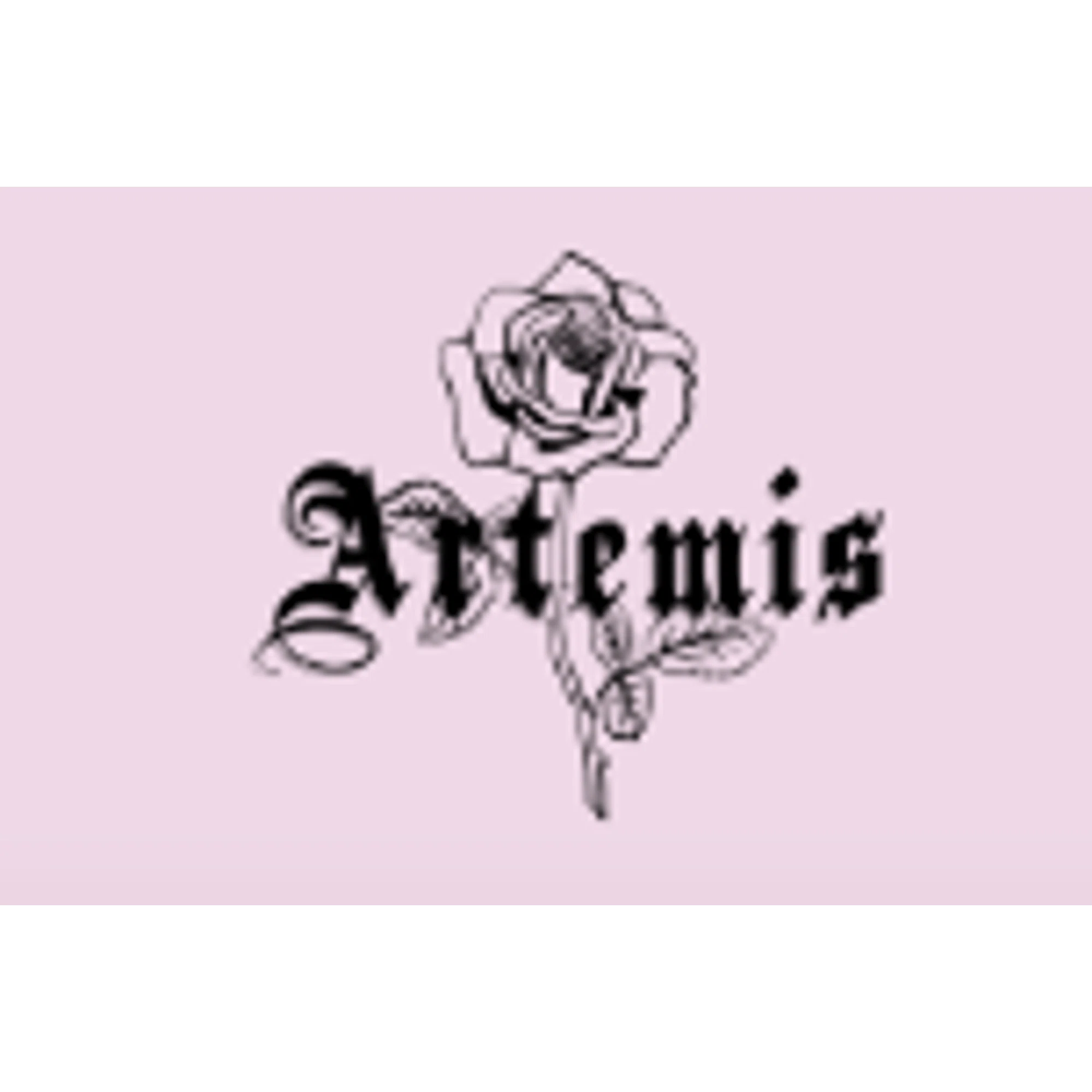 ARTEMIS ACCESSORIES Discount Code — 200 Off 2024