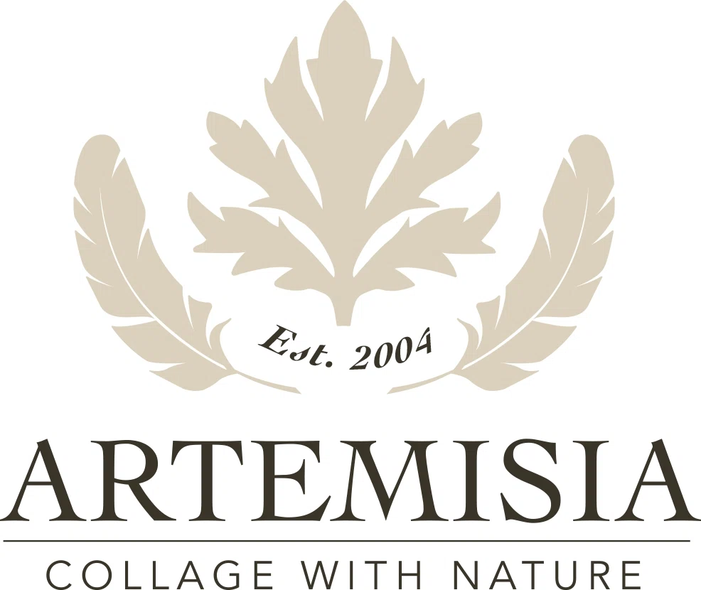 Artemisia Merchant Logo