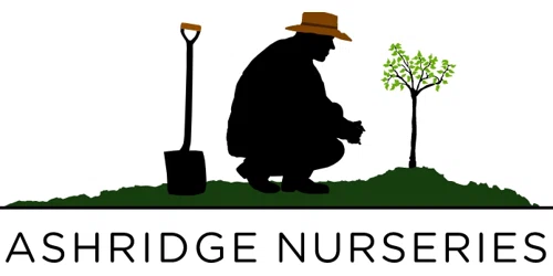Ashridge Nurseries Promo Code
