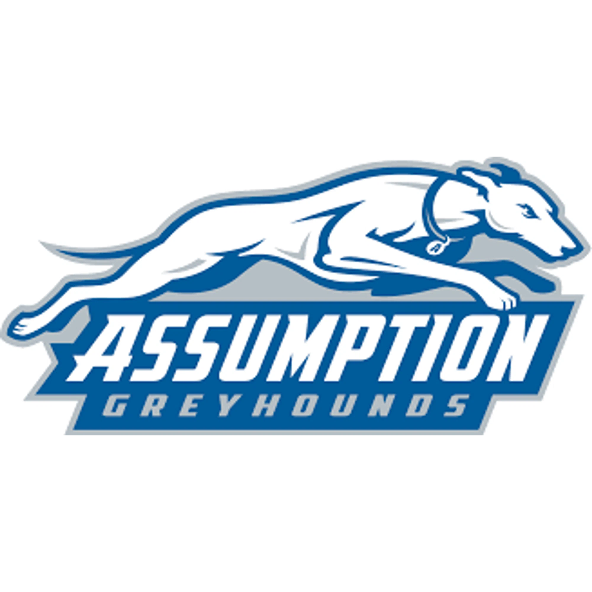 Assumption Greyhounds Promo Code