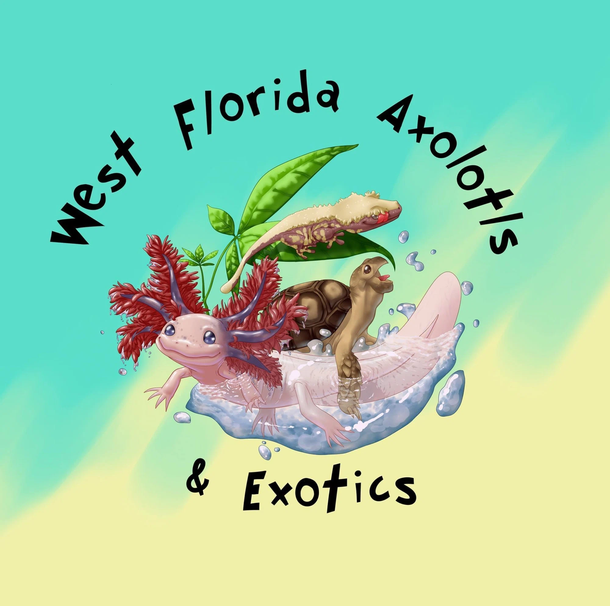 WEST FLORIDA AXOLOTLS & EXOTICS Promo Code — 55 Off 2024
