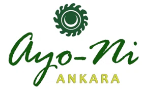 Ayo-Ni Ankara  Promo Code