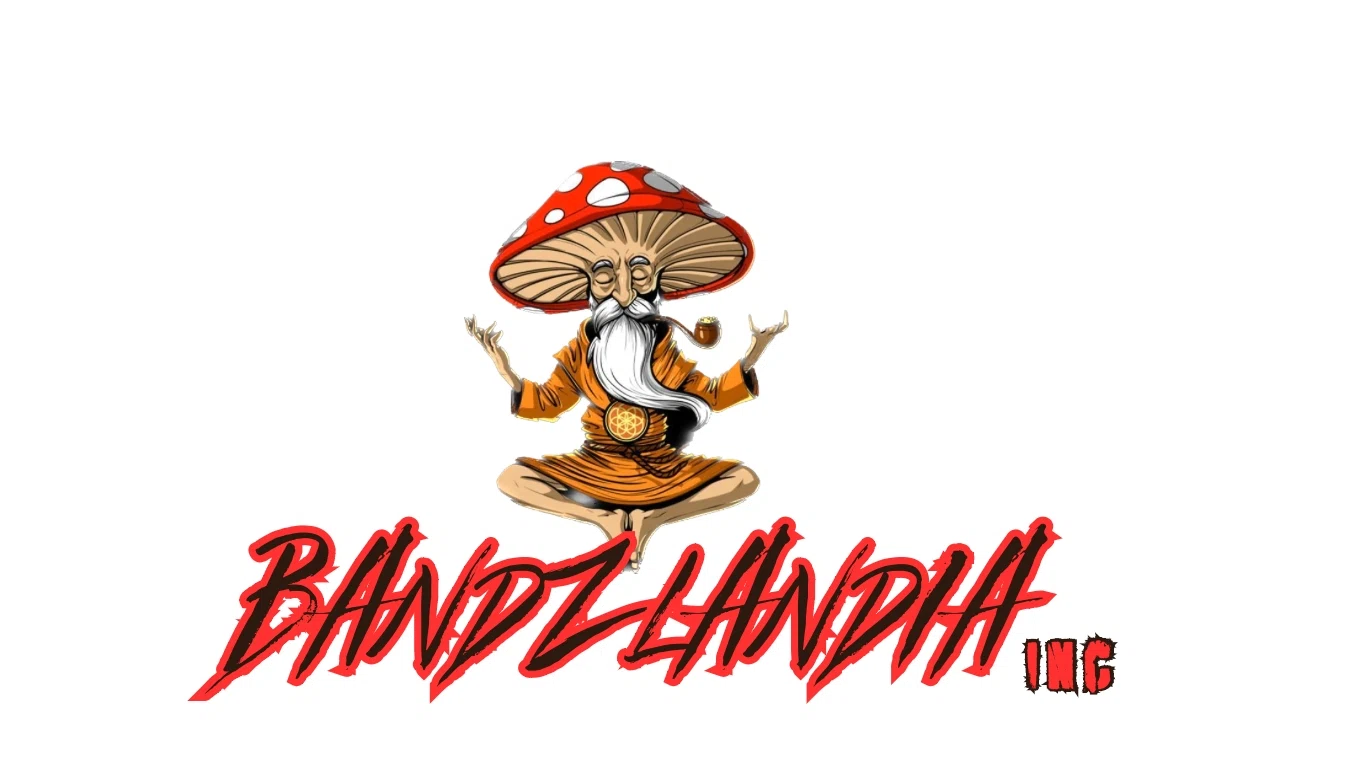 BANDZLANDIA Promo Code