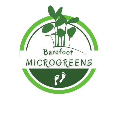 Barefoot Microgreens Merchant Logo