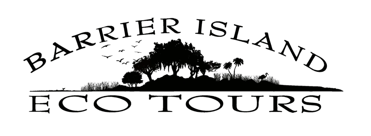 Barrier Island Eco Tours Merchant Logo