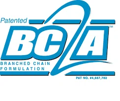 BC2A Merchant Logo