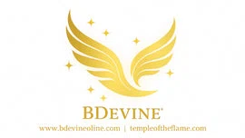BDevine Merchant Logo
