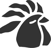 Beach Rooster Promo Code