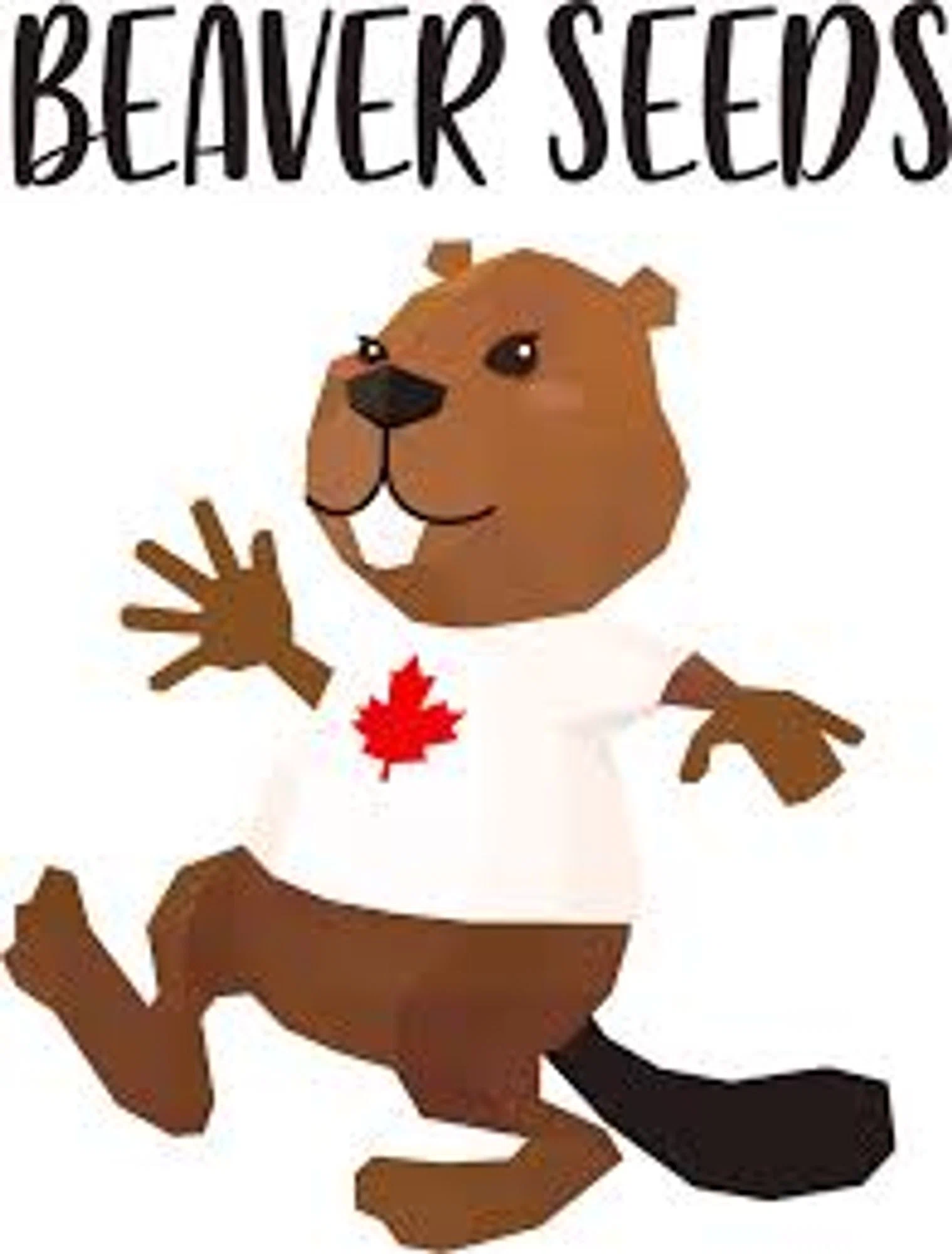 BeaverSeed Promo Code