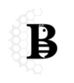 BeemzLLC Merchant Logo