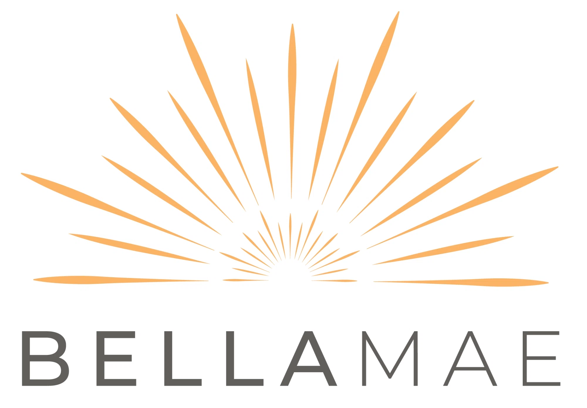 BELLAMAE Merchant Logo
