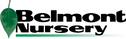 BELMONT NURSERY Promo Code — 150 Off in Oct 2024