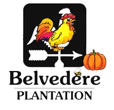 Belvedere Plantation Merchant Logo