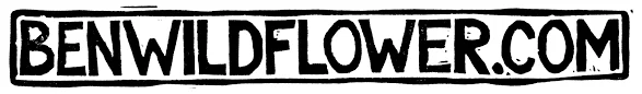 Ben Wildflower Promo Code