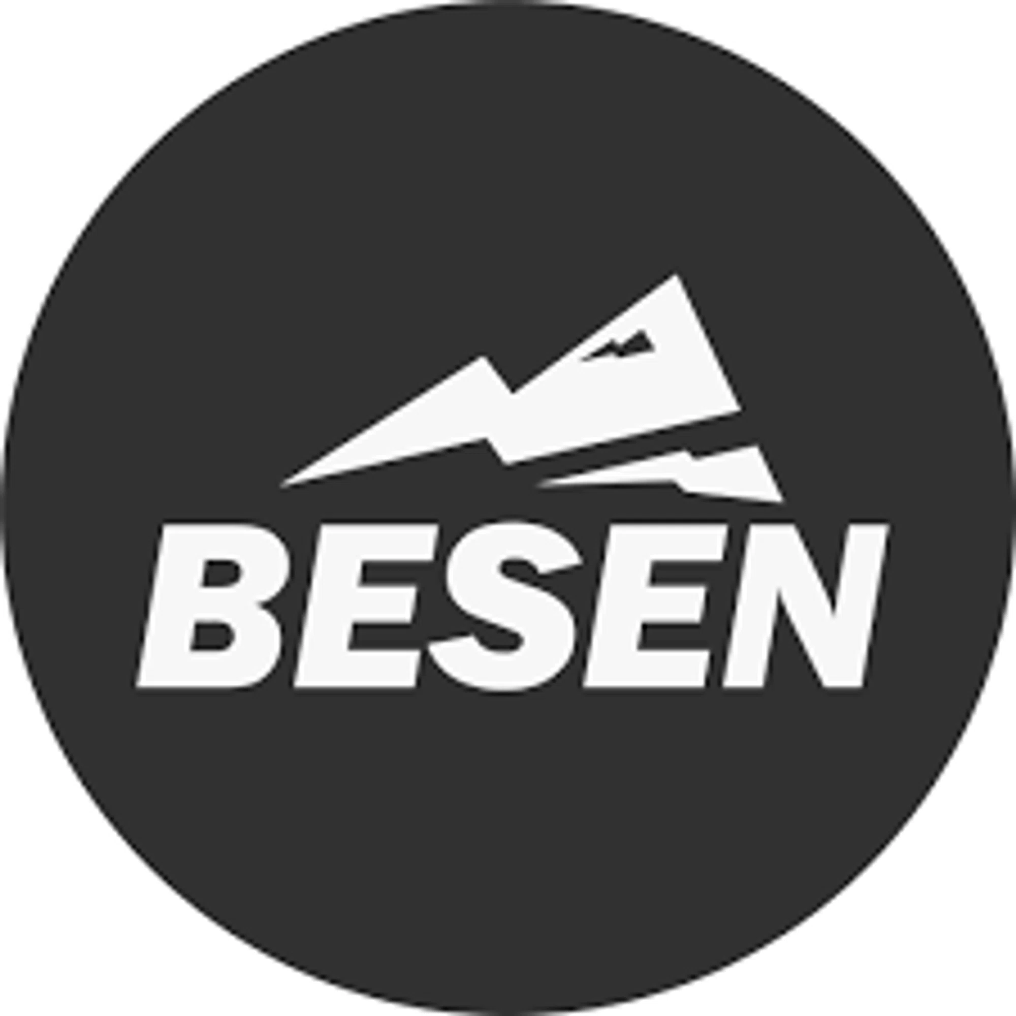 BESEN Merchant Logo