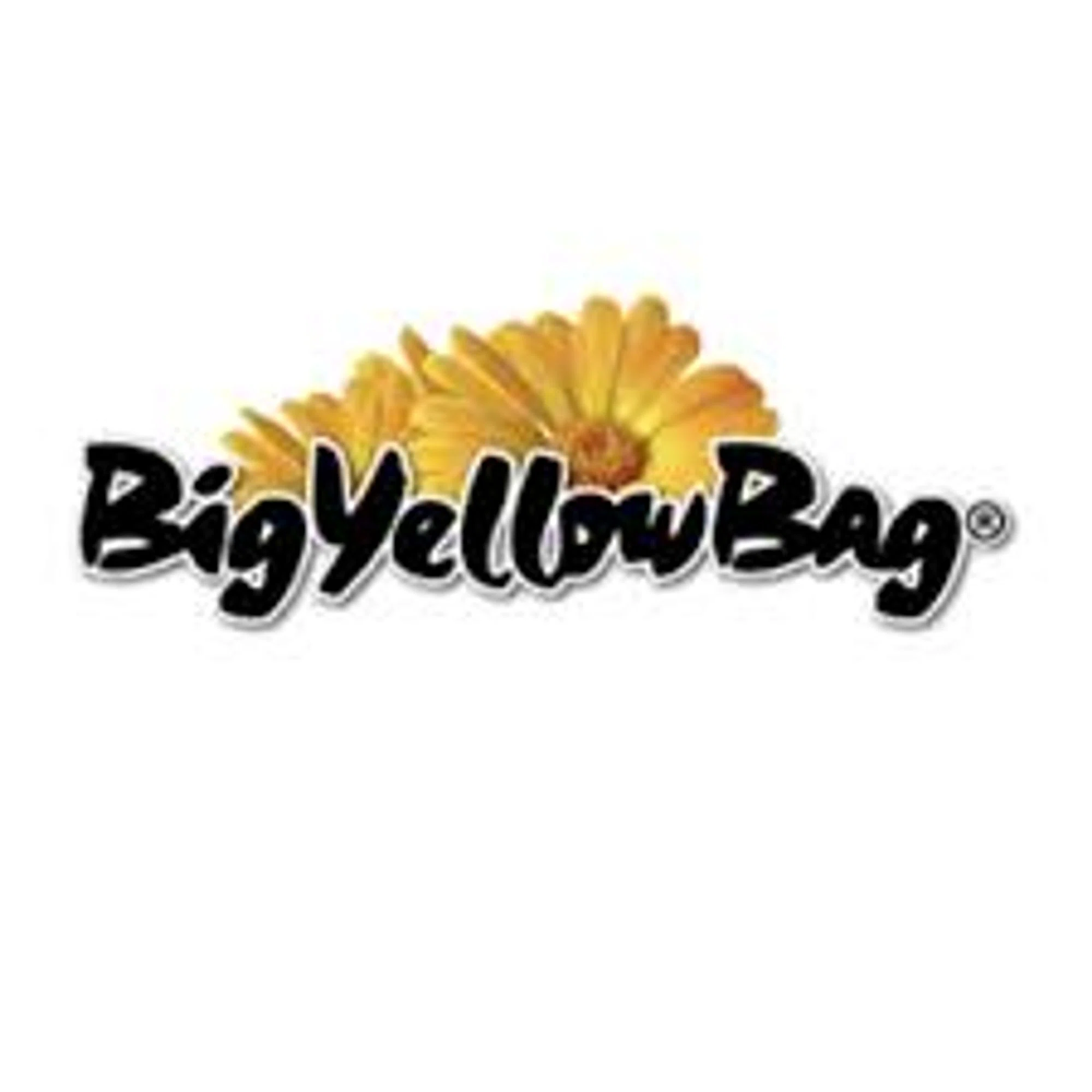 Big Yellow Bag Promo Codes 25 Off (Sitewide) in Nov 2025