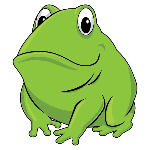 BIG FROG SUPPLY Discount Code — 200 Off in Aug 2024
