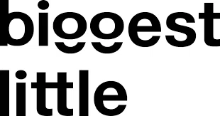 BIGGEST LITTLE Promo Code — 25 Off (Sitewide) 2024