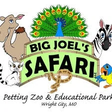 Big Joel's Safari Merchant Logo