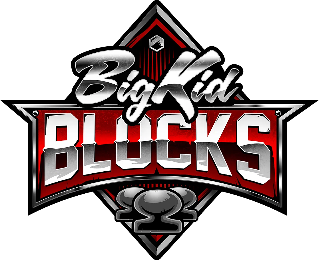 Big Kid Blocks Promo Code