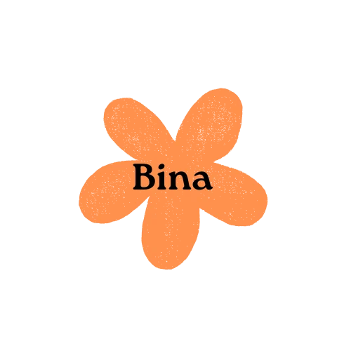 Bina Cosmetic Merchant Logo